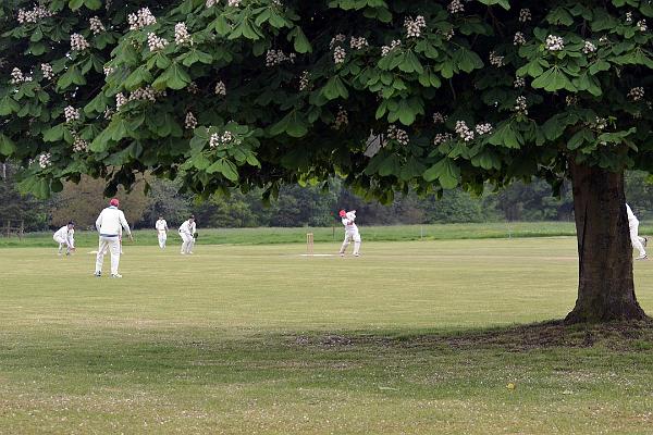 4. The chestnut tree is a feature of the ground. If the ball hits the tree, it's four runs.jpg